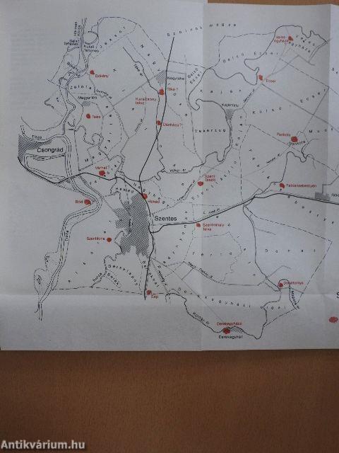 Tanulmányok Csongrád megye történetéből XVI.