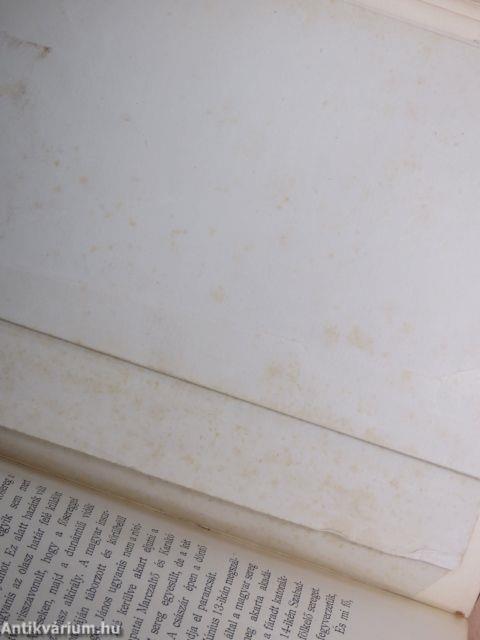 A magyar nemzet története VIII.