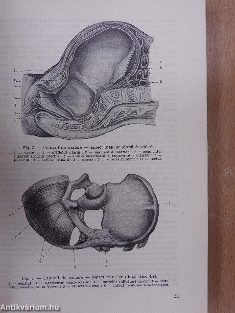 Probleme de practica si tehnica obstetricala