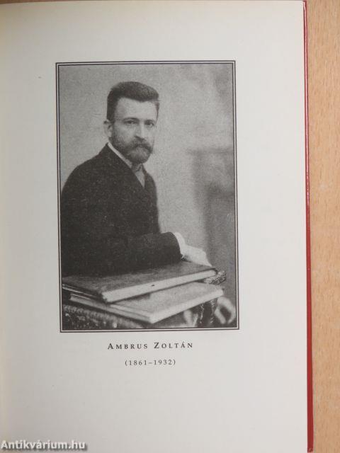 Őszi napsugár/A gyanú