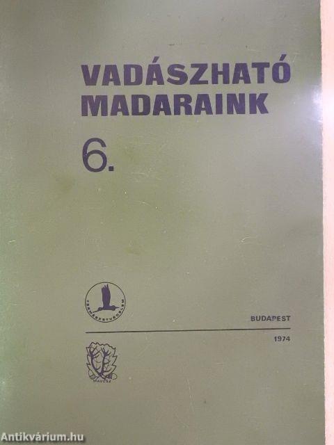 Vadászható madaraink 6.