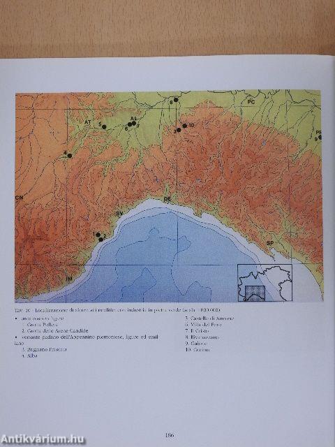 Bollettino dei Musei Civici Genovesi 1997/99