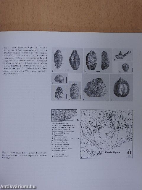 Bollettino dei Musei Civici Genovesi 1997/99