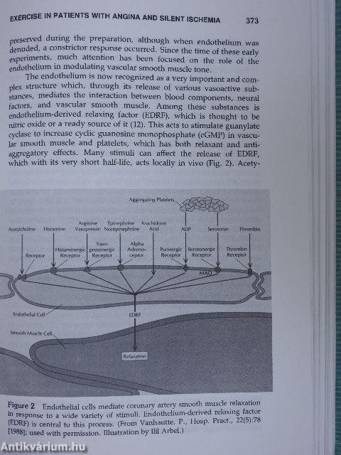 Exercise and the Heart in Health and Disease