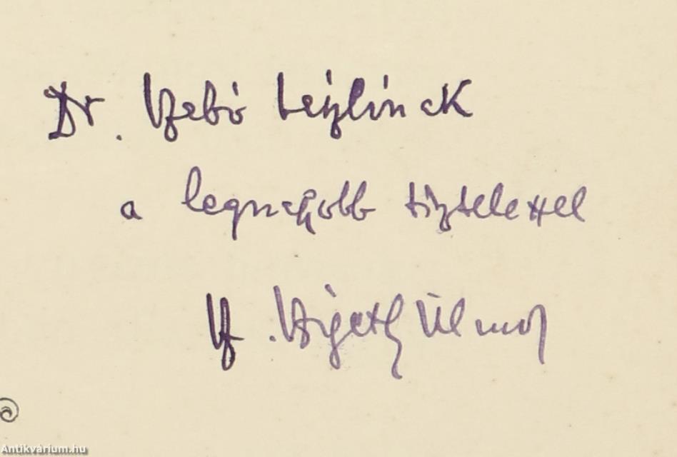 A vármegyéből (dedikált példány)