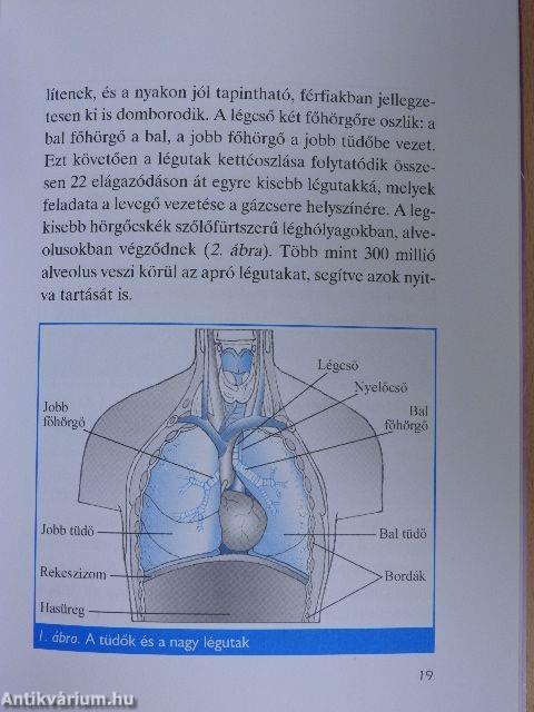 Fulladok, köhögök - COPD-s vagyok?