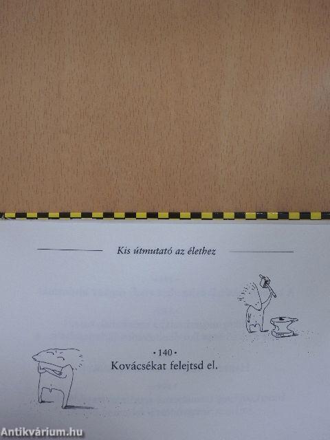 Kis útmutató az élethez