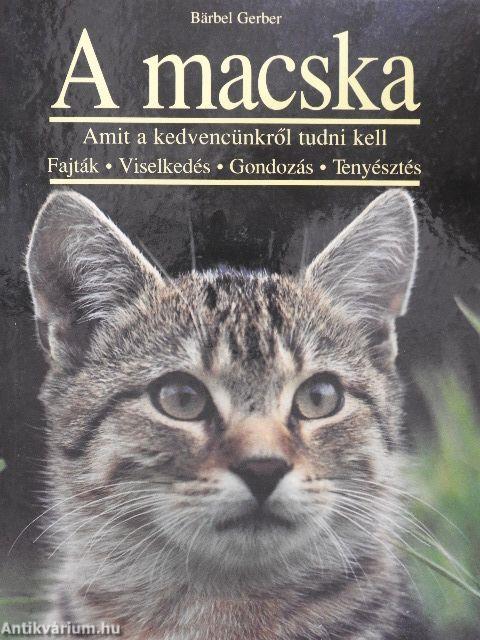 A macska