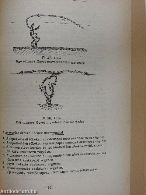Kertészeti gyakorlatok