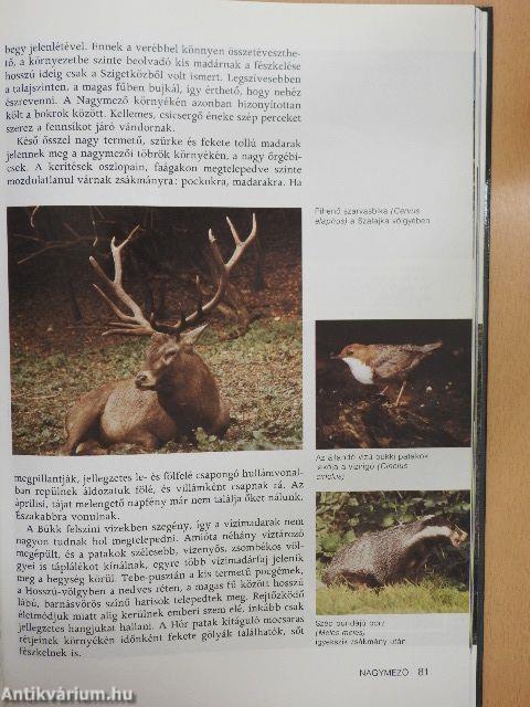 A természet múzeumai