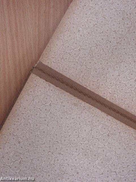 Lionardo da Vinci és a renaissance kialakulása