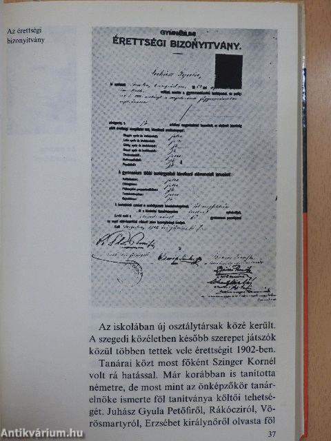 Kesereg a vén hegedű...