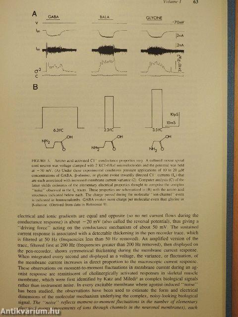 GABA and Benzodiazepine Receptors I-II