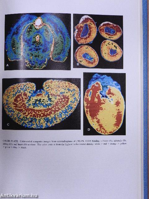 GABA and Benzodiazepine Receptors I-II