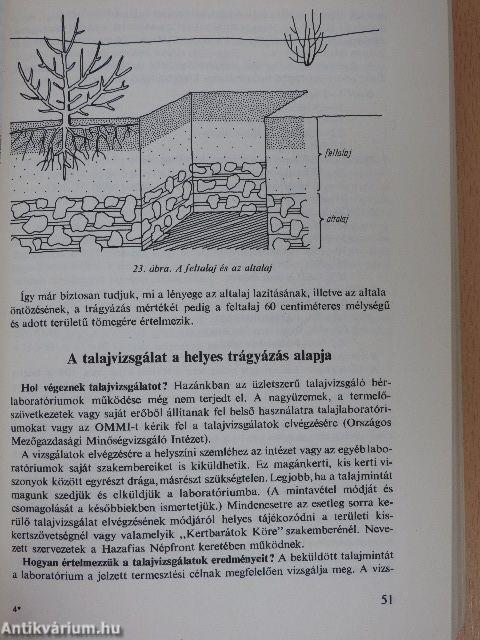 Gyümölcstermesztés házi- és háztáji kertekben