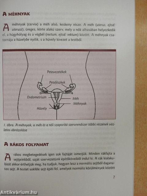 Amit a méhnyakrákról tudni kell