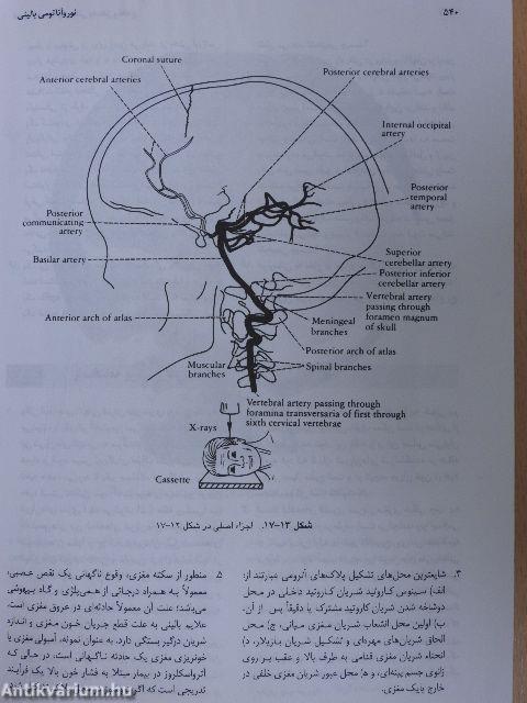 Clinical Neuroanatomy (perzsa nyelvű)