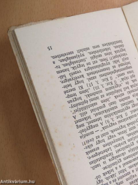 A szeretet jegyében