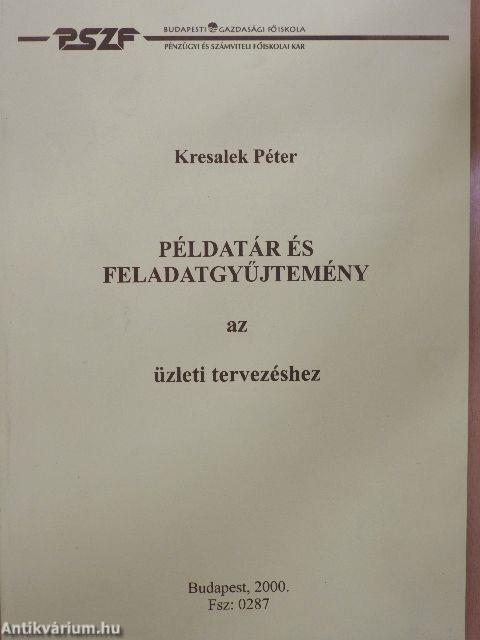 Példatár és feladatgyűjtemény az üzleti tervezéshez