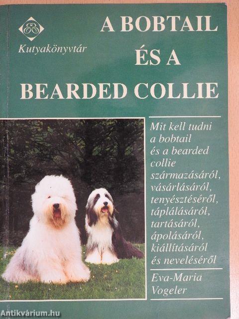 A bobtail és a bearded collie