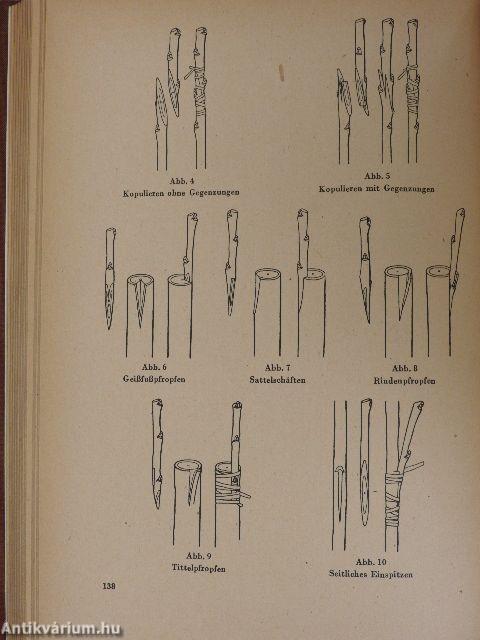 Tabellenbuch der gärtnerischen Produktion III