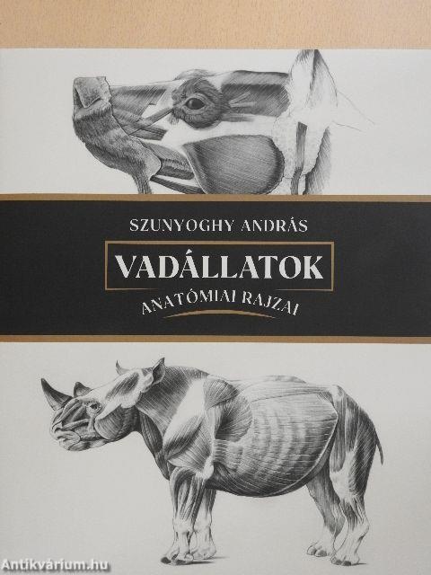 Vadállatok anatómiai rajzai