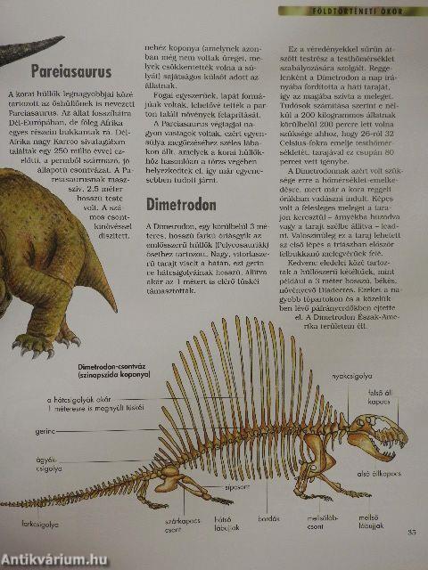 A dinoszauruszok