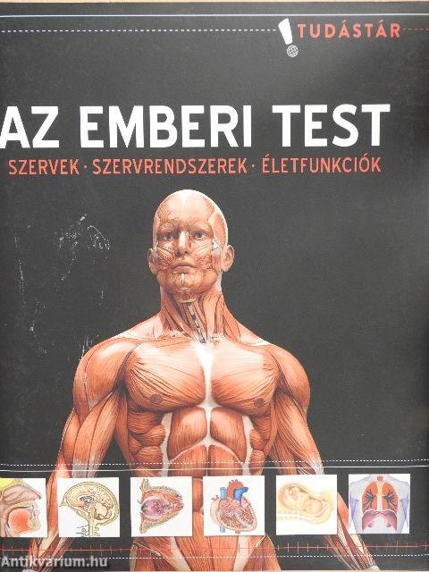 Az emberi test