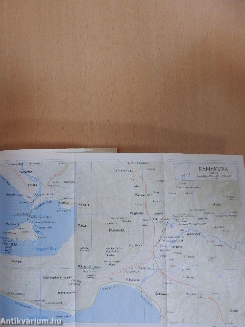 The New Official Guide - Japan