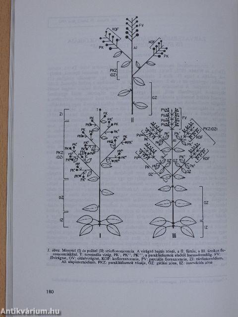 Botanikai közlemények 1992/2.