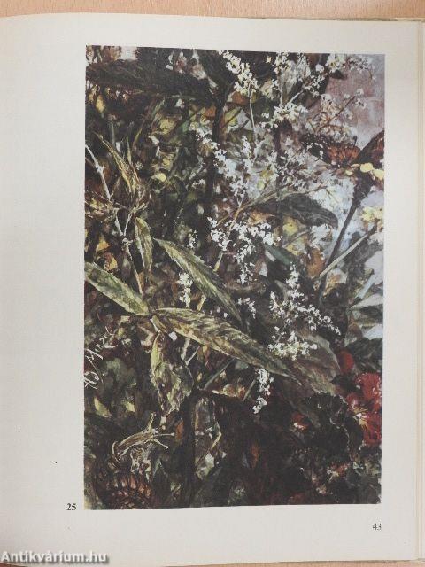 Virágok, madarak...