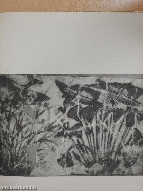 Virágok, madarak...