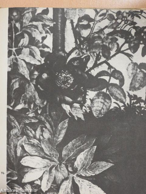 Virágok, madarak...