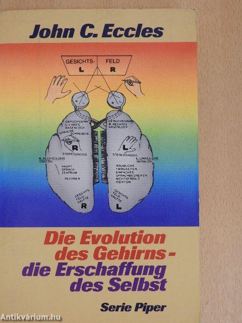 Die Evolution des Gehirns - die Erschaffung des Selbst