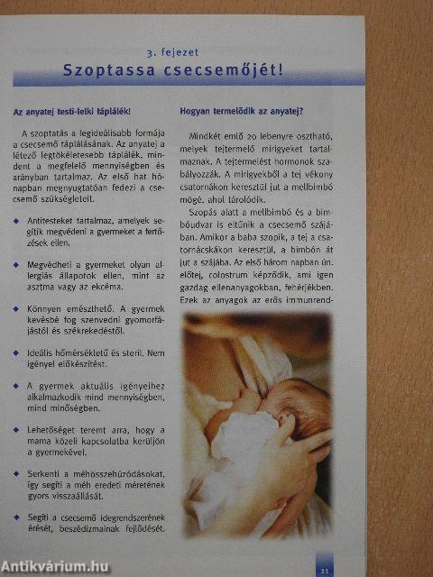 Babagondozási Tanácsadó 2009. tavasz-nyár