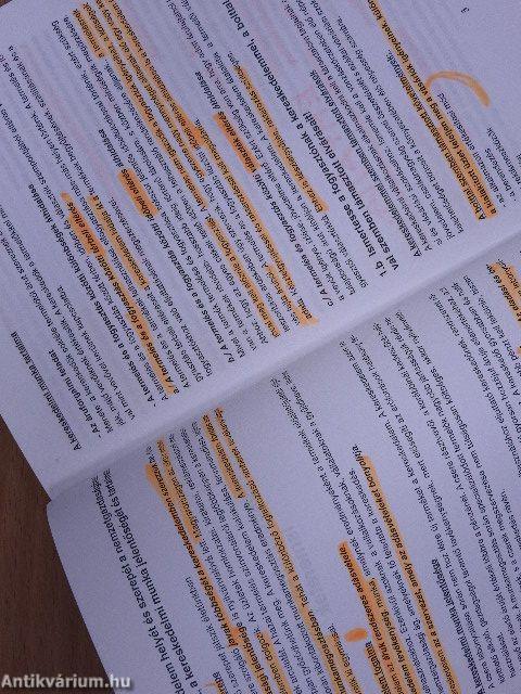 Kereskedő vállalkozó