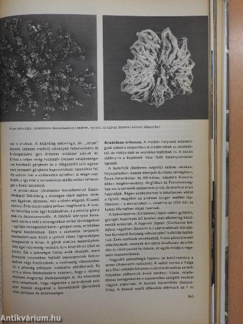 Urania Növényvilág - Magasabbrendű növények I-II.