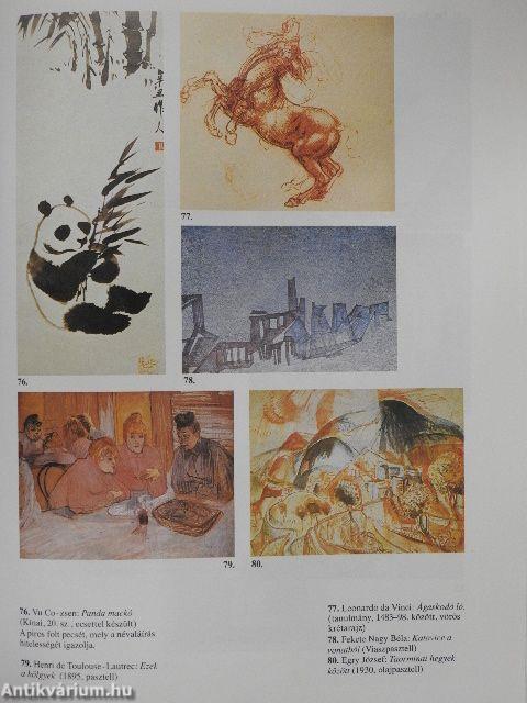 Látás és ábrázolás