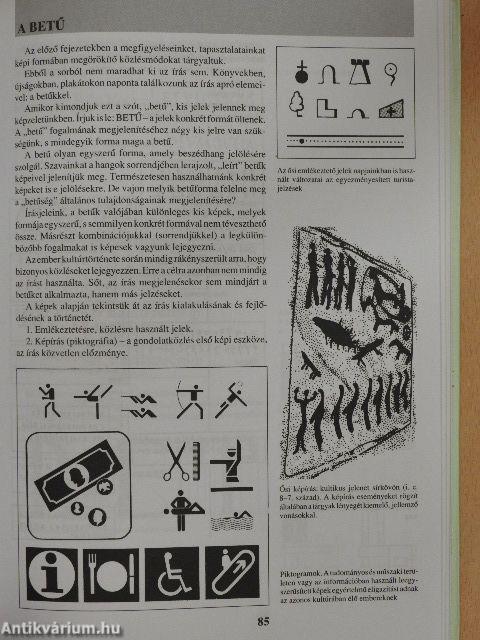 Látás és ábrázolás