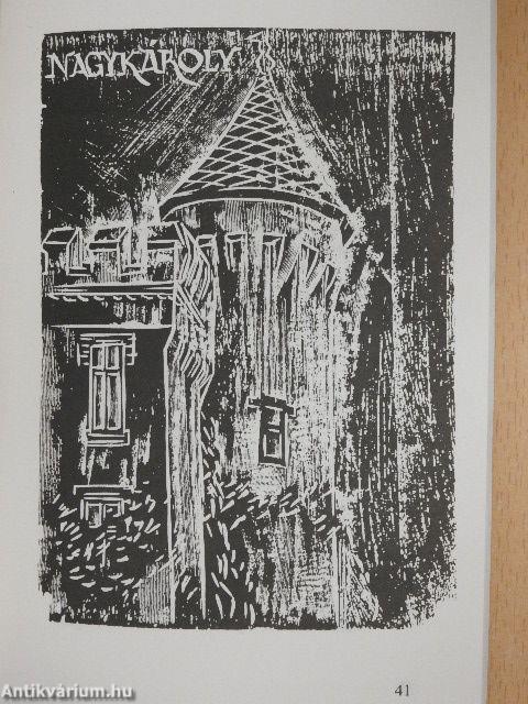 Kárpát-medencei gondok 1.