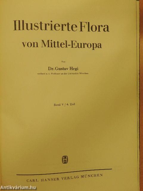 Illustrierte Flora von Mittel-Europa V/4.