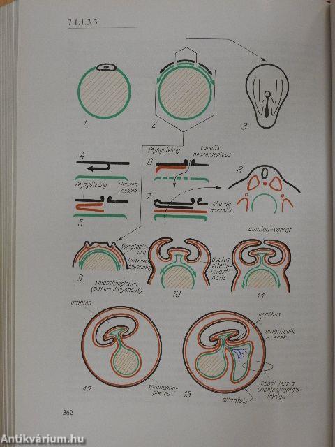 Biologia