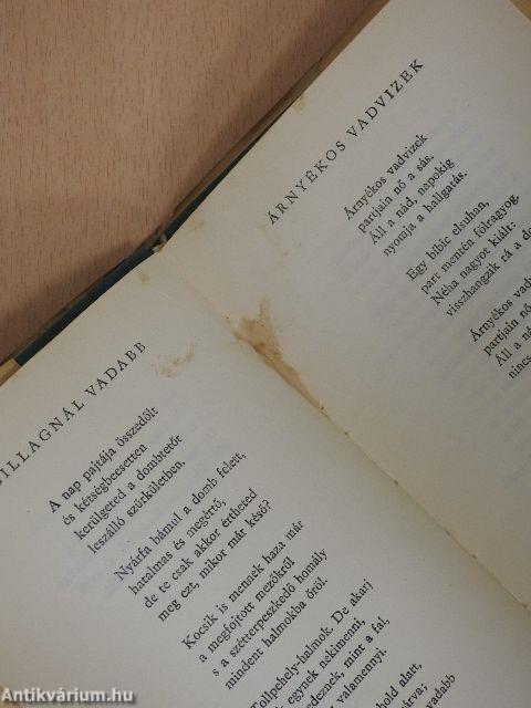 Jársz és kiáltasz