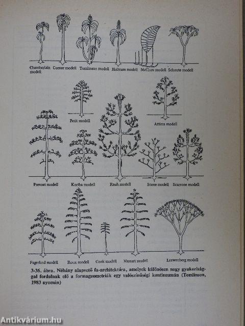 Az evolúció frontvonalai