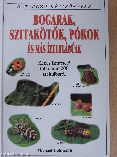 Bogarak, szitakötők, pókok és más ízeltlábúak