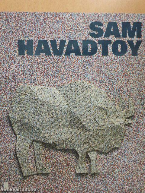 Sam Havadtoy