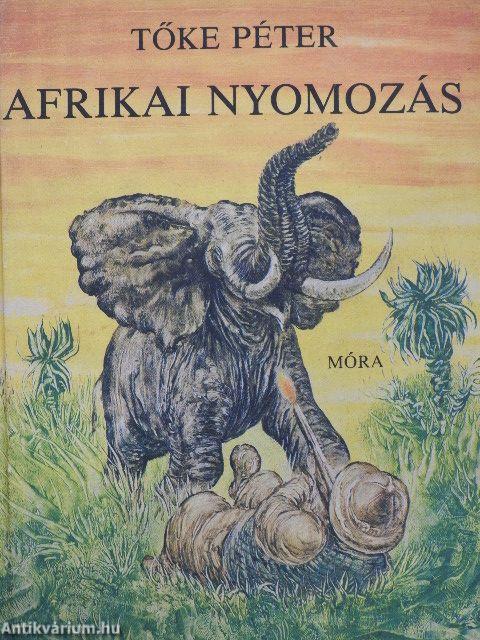 Afrikai nyomozás