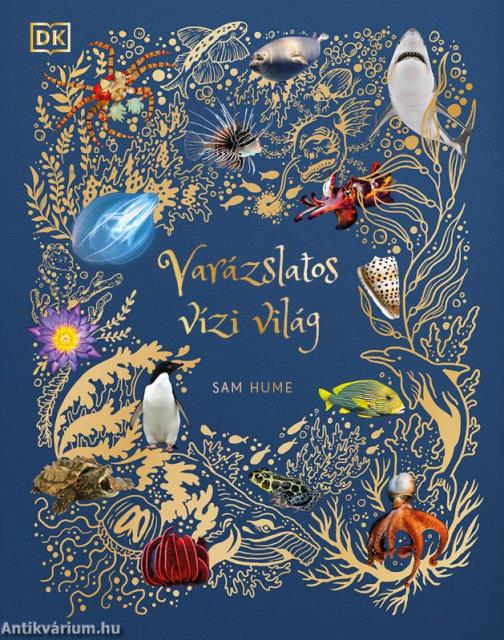 Varázslatos vízi világ