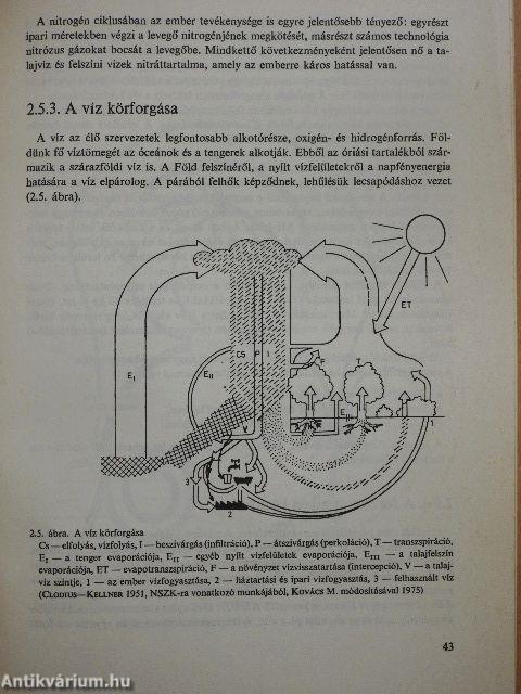 A környezetvédelem alapjai