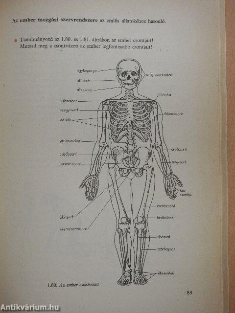 Biológia II.